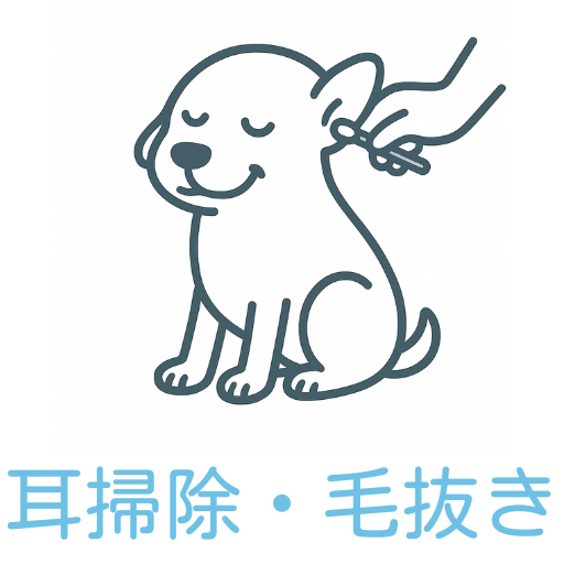 沖縄県宜野湾市のトリミングサロン&ペットホテルいぬおふろの耳掃除