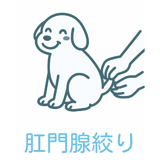 沖縄県宜野湾市のトリミングサロン&ペットホテルいぬおふろの肛門腺絞り