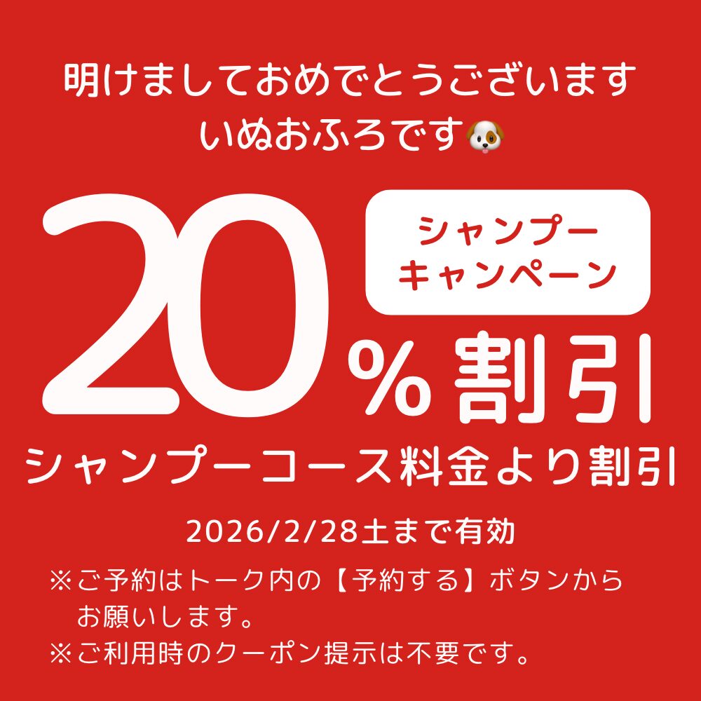 シャンプー20%OFFキャンペーン